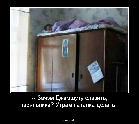-- Зачэм Джамшуту слазить, насяльника? Утрам паталка делать!