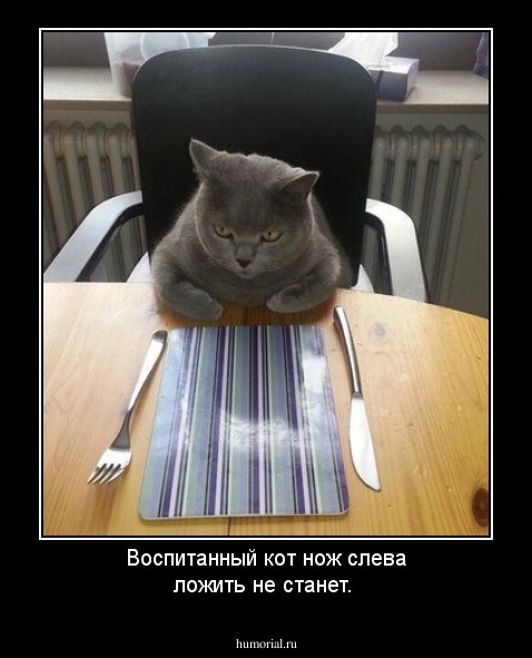 Воспитанный кот нож слева ложить не станет.
