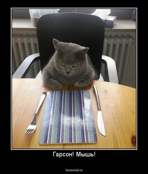 Гарсон! Мышь!