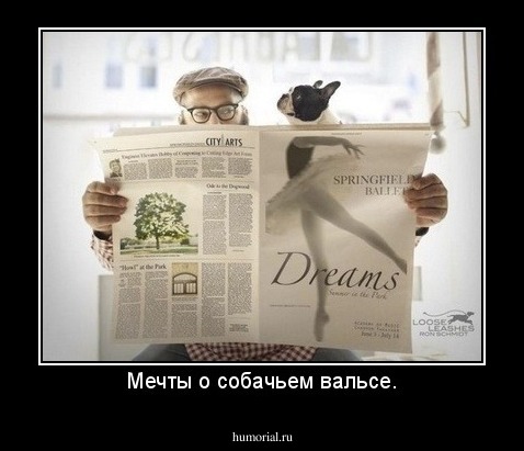 Мечты о собачьем вальсе.