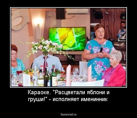 Караоке. "Расцветали яблони и груши!" - исполняет именинник