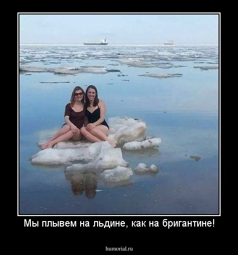 Мы плывем на льдине, как на бригантине!