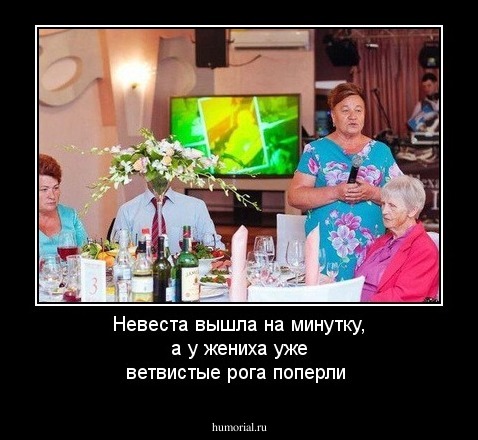 Невеста вышла на минутку, а у жениха уже ветвистые рога поперли