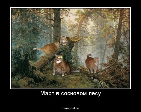 Март в сосновом лесу