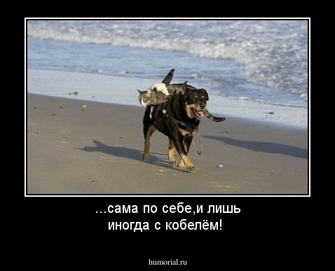 ...сама по себе,и лишь иногда с кобелём! 
