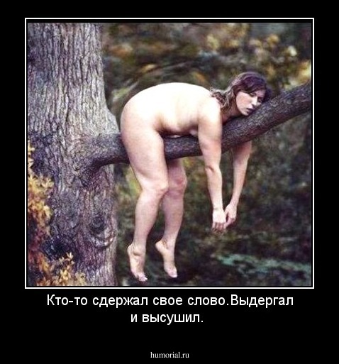 Кто-то сдержал свое слово.Выдергал и высушил.