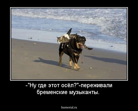 -"Ну где этот осёл?"-переживали бременские музыканты.