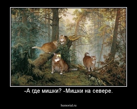 -А где мишки? -Мишки на севере.
