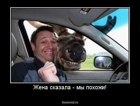 Жена сказала - мы похожи!
