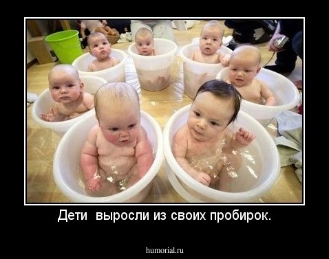 Дети  выросли из своих пробирок.