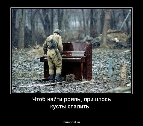Чтоб найти рояль, пришлось кусты спалить.
