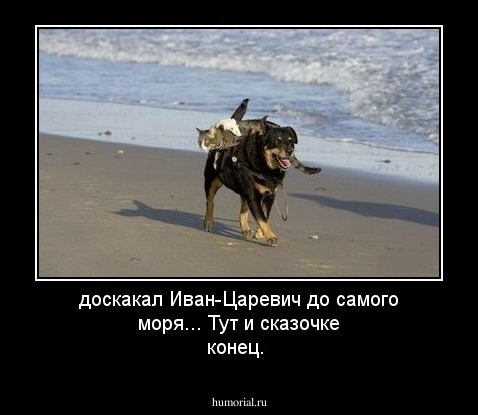 доскакал Иван-Царевич до самого моря... Тут и сказочке конец.