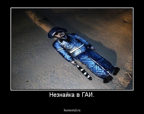 Незнайка в ГАИ.