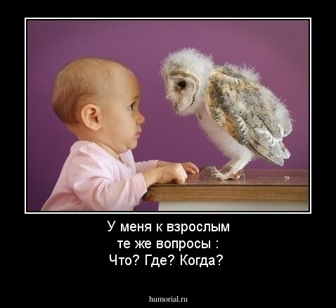  У меня к взрослым те же вопросы : Что? Где? Когда?