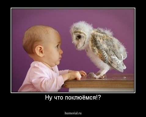 Ну что поклюёмся!?