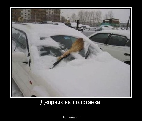 Дворник на полставки.