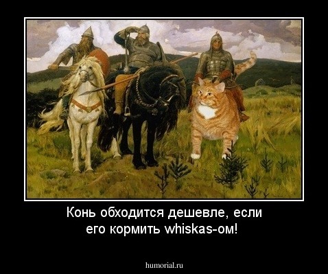 Конь обходится дешевле, если его кормить whiskas-ом!