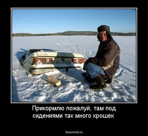 Прикормлю пожалуй, там под сидениями так много крошек  