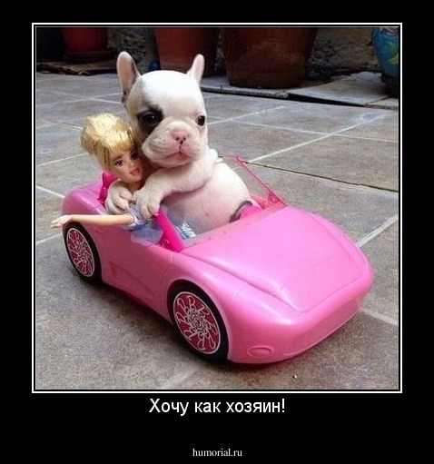 Хочу как хозяин!