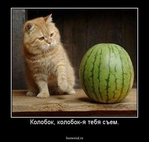 Колобок, колобок-я тебя съем.