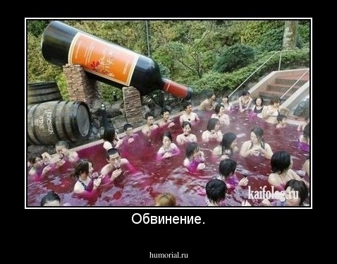 Обвинение.