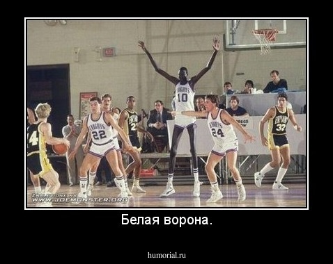 Белая ворона.