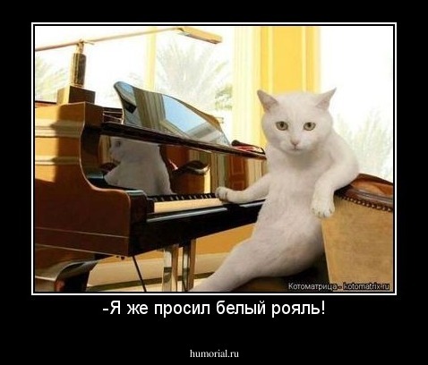-Я же просил белый рояль!