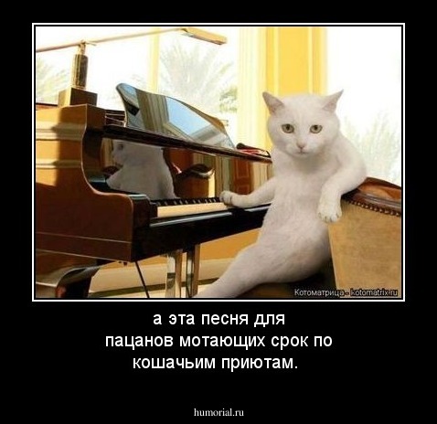 а эта песня для пацанов мотающих срок по кошачьим приютам.
