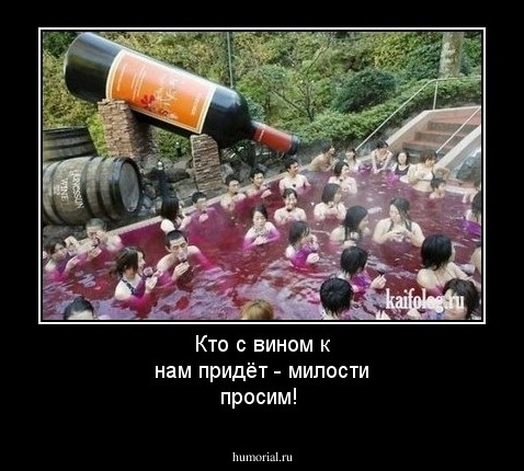 Кто с вином к нам придёт - милости просим!