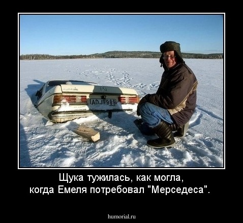 Щука тужилась, как могла, когда Емеля потребовал "Мерседеса".