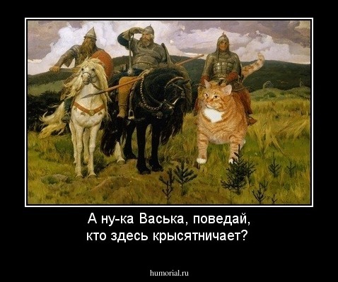 А ну-ка Васька, поведай, кто здесь крысятничает?
