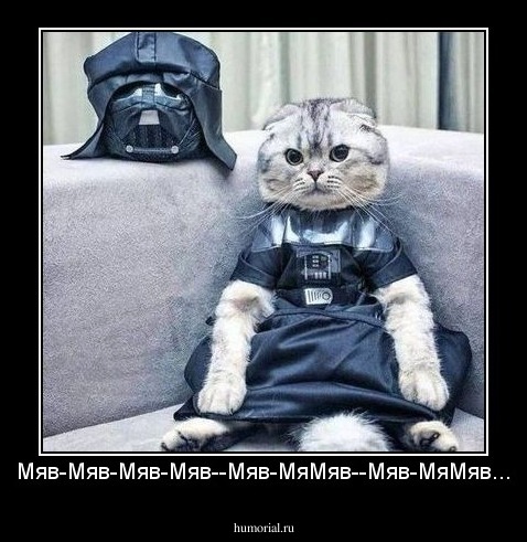 Мяв-Мяв-Мяв-Мяв--Мяв-МяМяв--Мяв-МяМяв...