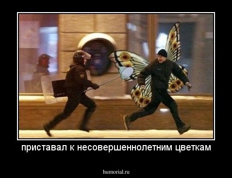 приставал к несовершеннолетним цветкам