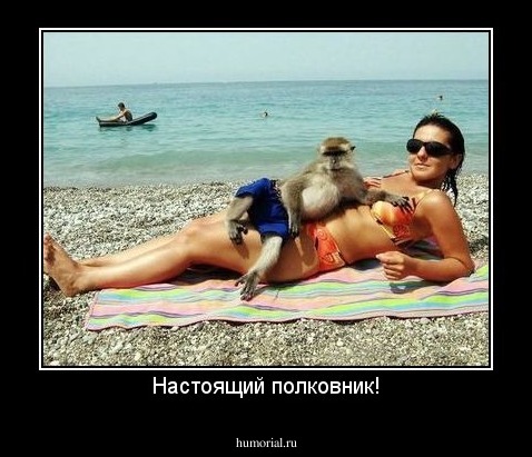 Настоящий полковник!