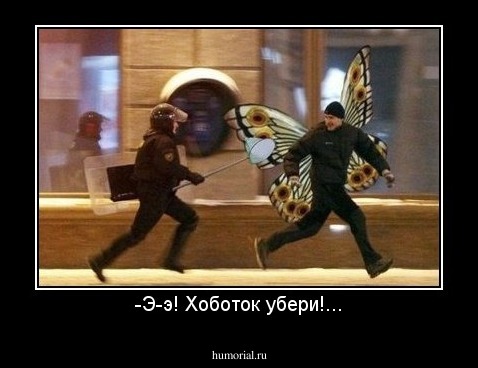 -Э-э! Хоботок убери!...