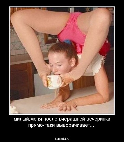 милый,меня после вчерашней вечеринки прямо-таки выворачивает...