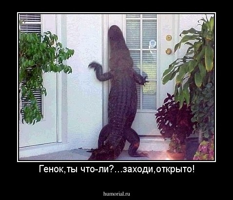 Генок,ты что-ли?...заходи,открыто!
