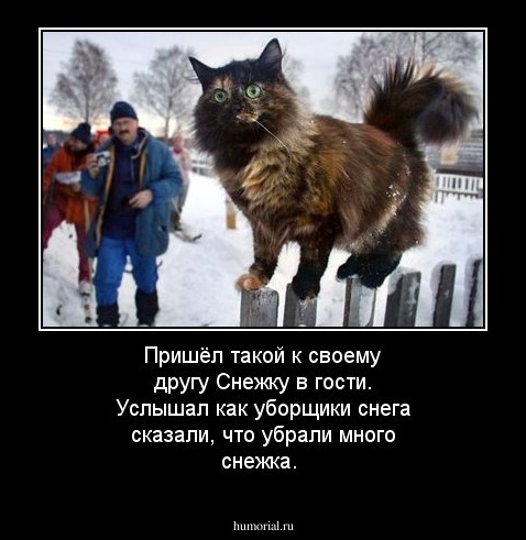 Пришёл такой к своему другу Снежку в гости. Услышал как уборщики снега сказали, что убрали много снежка.