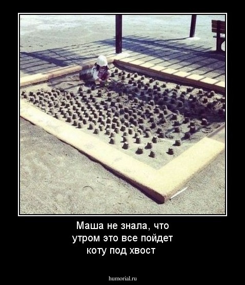 Маша не знала, что утром это все пойдет коту под хвост 