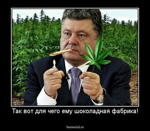 Так вот для чего ему шоколадная фабрика!