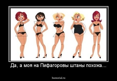 Да, а моя на Пифагоровы штаны похожа...