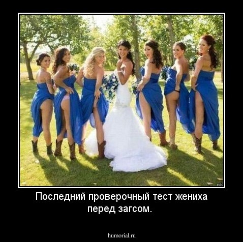 Последний проверочный тест жениха перед загсом.
