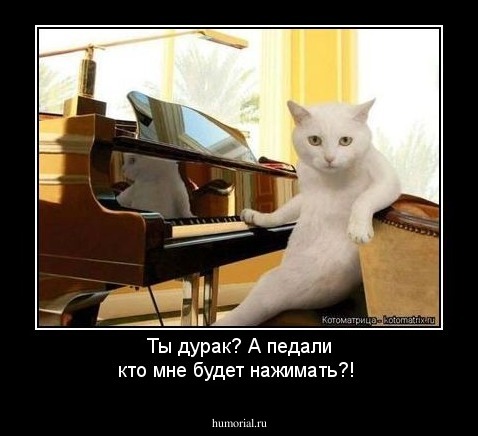 Ты дурак? А педали кто мне будет нажимать?!