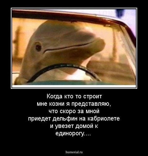 Когда кто то строит мне козни я представляю, что скоро за мной приедет дельфин на кабриолете и увезет домой к единорогу....