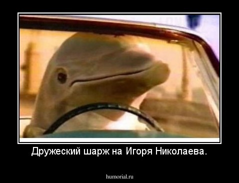 Дружеский шарж на Игоря Николаева.