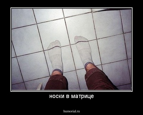 носки в матрице