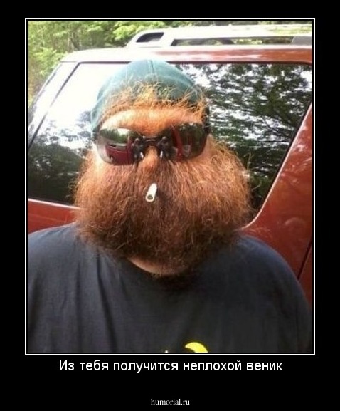 Из тебя получится неплохой веник