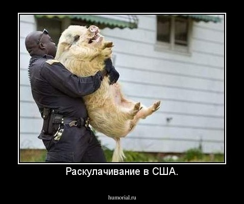 Раскулачивание в США.