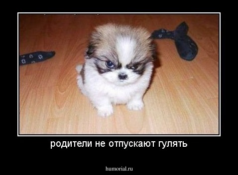 родители не отпускают гулять