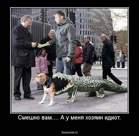 Смешно вам.... А у меня хозяин идиот.